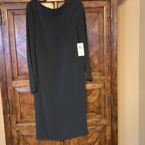 NWT Dana B long sleeve midi sheath dress! Figure flattering! Beautiful!